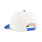 Warm White / Royal Sapphire