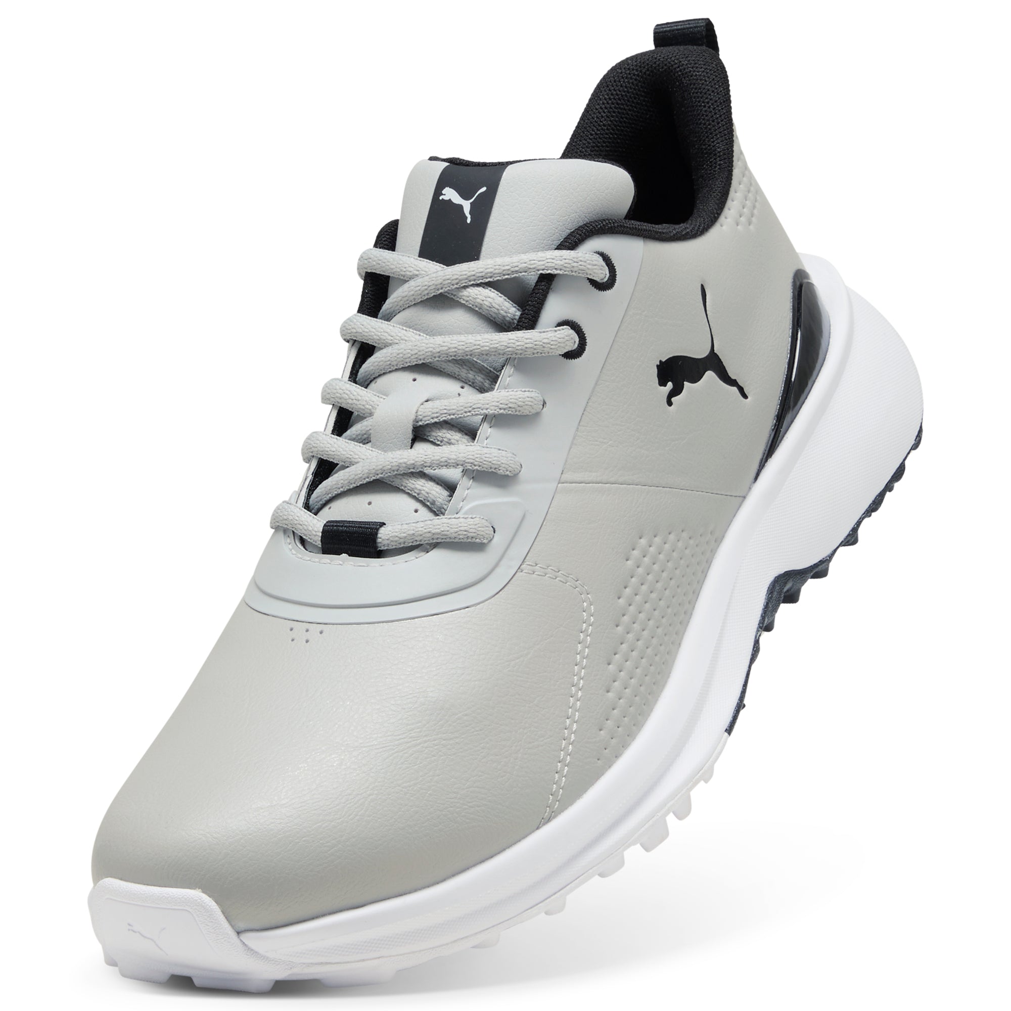 Ash Gray / Puma Black