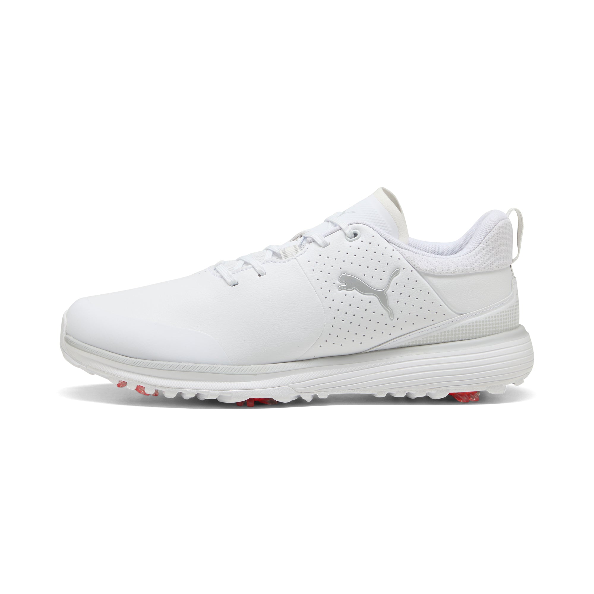 Puma White / Puma Silver / Ash Gray