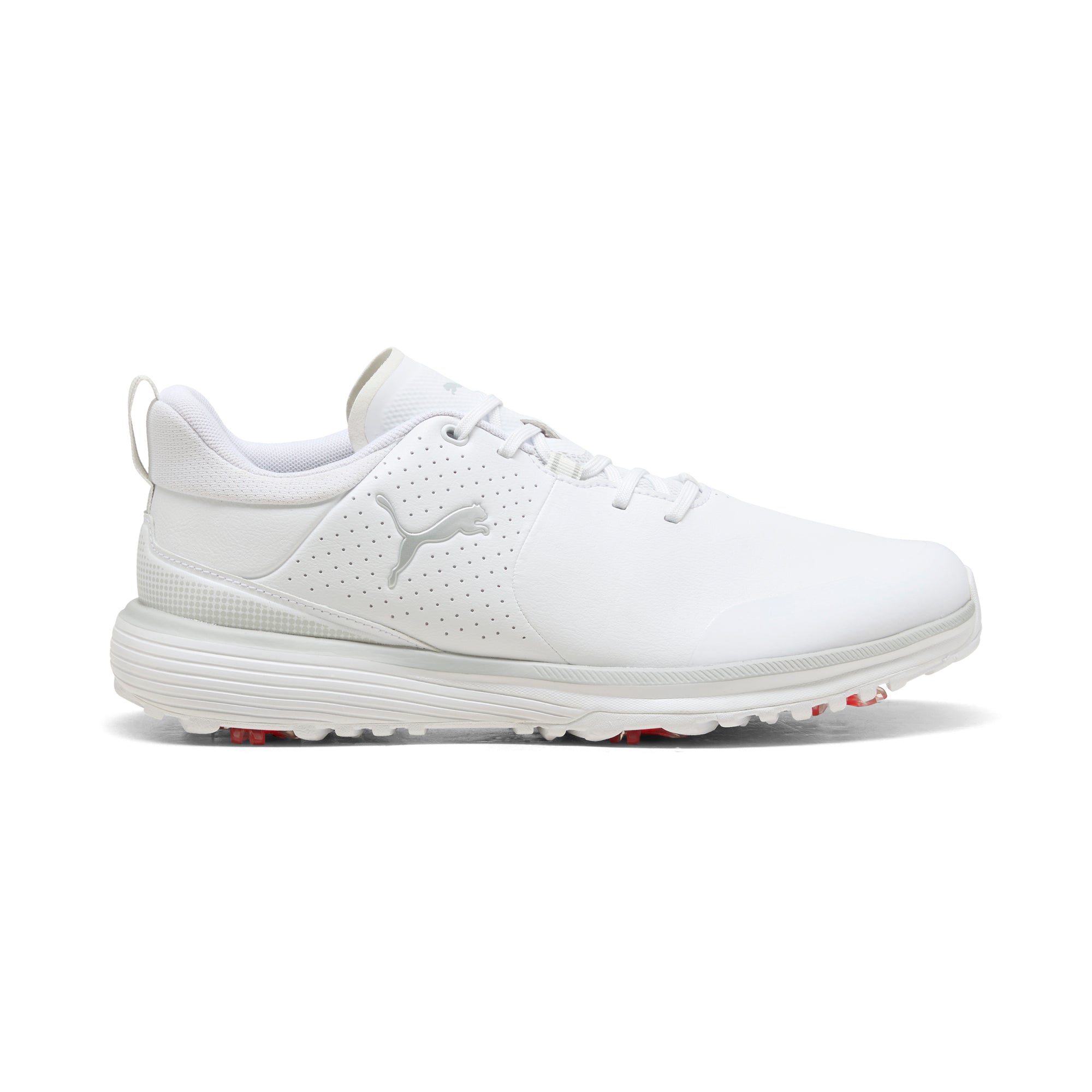 Puma White / Puma Silver / Ash Gray