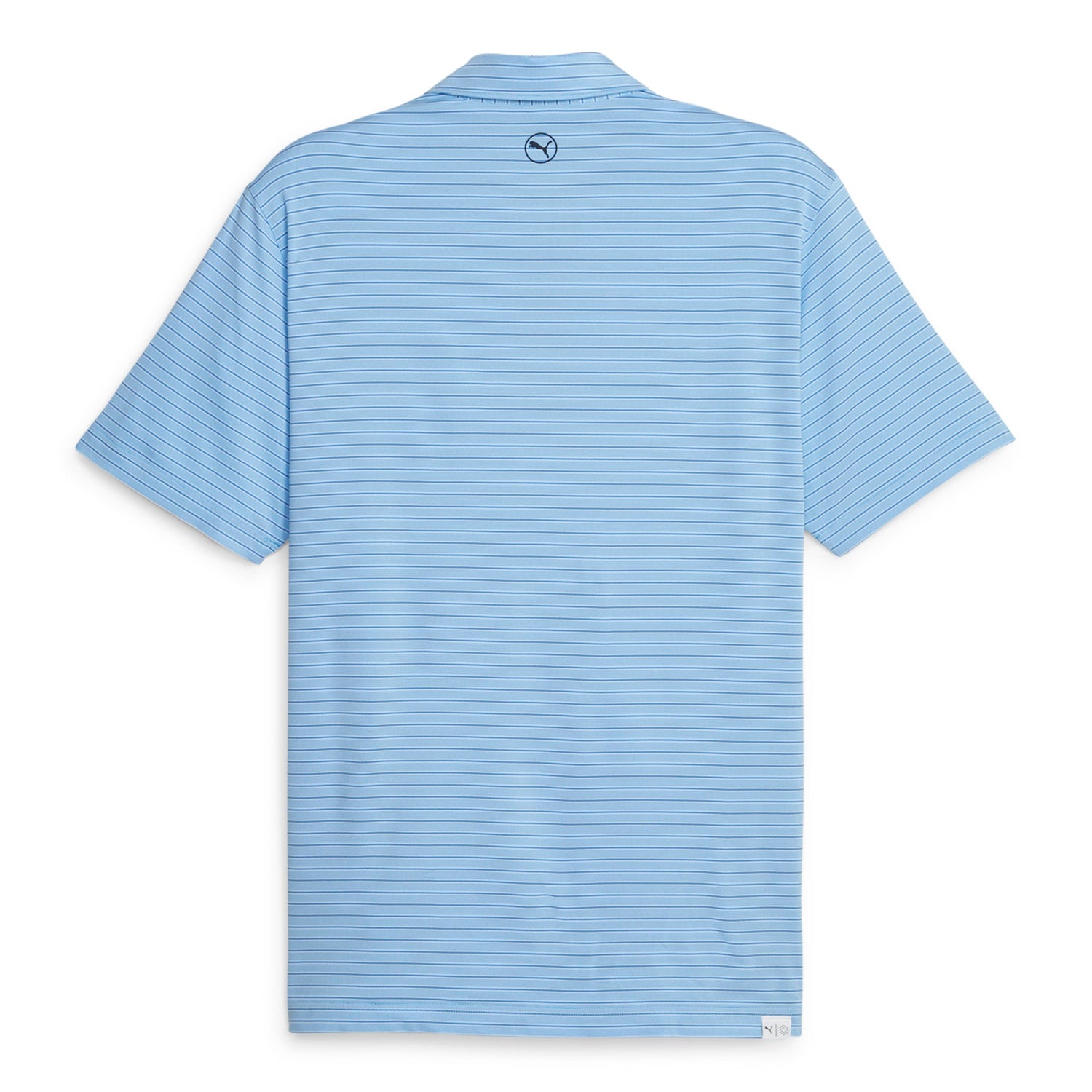 Regal Blue / Festive Blue