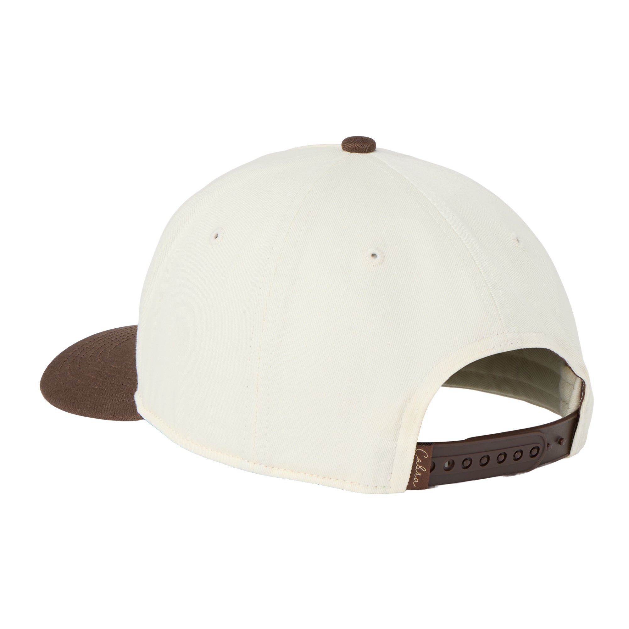 Alpine Snow / Chestnut Brown