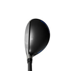 Black / Blue